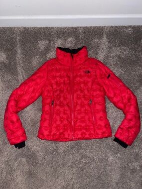 THE NORTH FACE Holladown Water Repellent 550 Medium